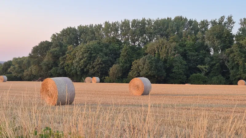 Mont des Cats, 15.07.2026
